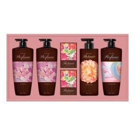 LG Household & Health Care Lifestyle Shampoo Body Set Holiday Gift Set / 엘지생활건강 생활의감동 샴푸바디세트 명절 선물세트
