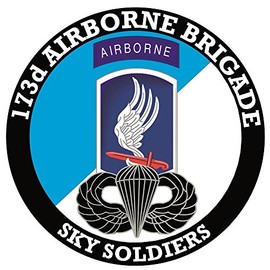 Military Productions 173rd Airborne Brigade with Jump Wings Decal