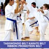 HQRKOTM 240cm Karate gürtel taekwondo gürtel,Karate für Kinder Erwachsene