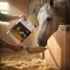 Mass Performance Equino - Suplemento Para Caballo 3.78l Pisa
