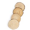 Logs - Logs - Set of 8 (2 x Set