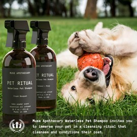 Muse Apothecary Pet Ritual Aromatic Waterless Shampoo for Pets - No Rinse Dog Shampoo - Waterless Shampoo for Cats - Waterless Dog Shampoo for Large Dogs - Essential Oils Infused, 16oz Oatmeal + Mango