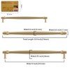 Amerdeco 10 Pack Champagne Bronze Cabinet Pulls 10 Inch(254MM) Hole