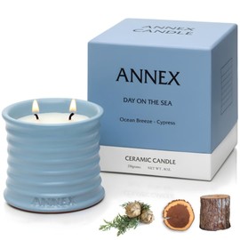 Annex Sea Breeze and Cypress Balls Luxury Scented Candle - 8oz Handmade Blue Ceramic Jar Candle, 50hr Clean Burn, 100% Non Toxic Soy Wax, Aesthetic Home Decor Gift for Men and Women - Sandalwood & Oud