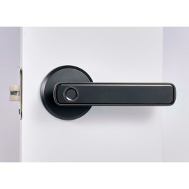 Double Row Digital Display Smart Door Lock App Control Aluminum Alloy Construction 4 AAA Battery Operated Home Security Systemcolor: Black