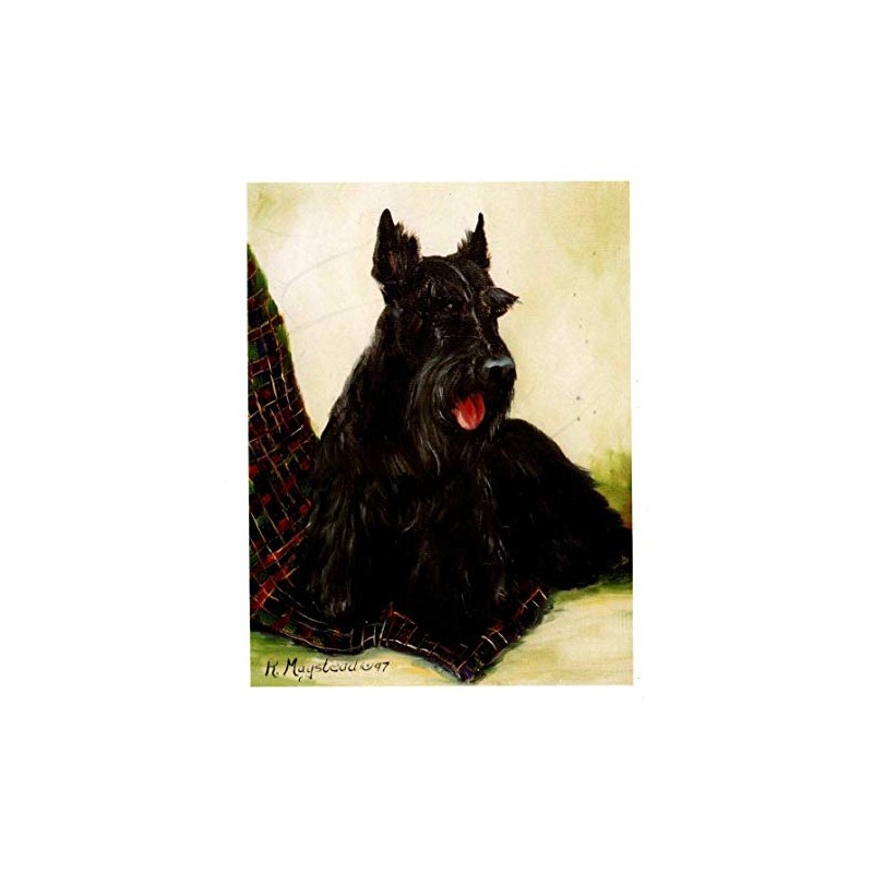 Ruth Maystead Scottish Terrier and Plaid Throw 12 Notecards &