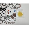 Seal Kit Replaces Roosa Master Stanadyne 33814/24373 for DB2 Diesel