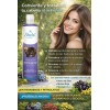 Shampoo Tipo Aceite Oso 530ml Shelo Nabel