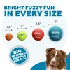 Outward Hound Squeaker Ballz – Squeaky Tennis Balls for Dogs