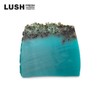 Rush Lush Sea Vegetable 100g - Soap / 러쉬 씨