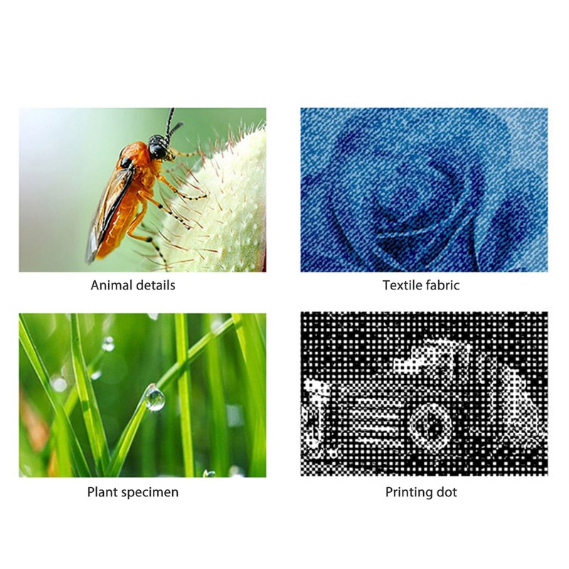 USB Type C Digital Microscope 50X to 1600X Microscope Camera