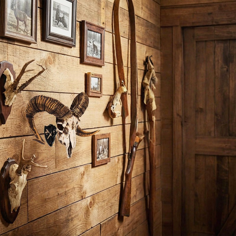 Skull Hanger European Mount Adjustable Bone Bracket Trophy Mounts for