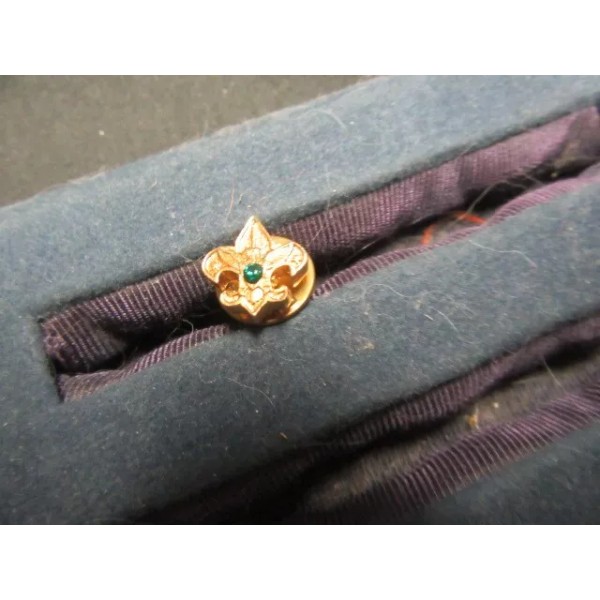 BSA Employee Veteran Pin, with Green Stone GA8