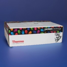 THERMO * New Thermo 87737 30mL 20K MWCO Slide-A-Lyzer Dialysis G2 Cassettes; QTY 6