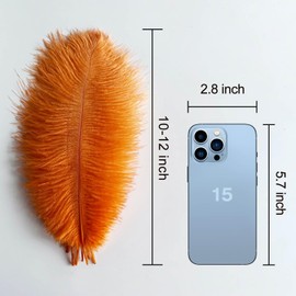 Piokio 20pcs Ostrich Feather Orange 10-12 inch (25-30cm) Bulk Feathers for Home Decoration and DIY Clothing and DIY Clothes Decoration, Gatsby Decorations