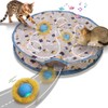 ProChosen Cat Toys Ball for Indoor Adult Cats, Interactive Automatic