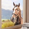 Tanlaby Horse Window Stickers Farm Animals Window Stickers Reusable Double-Sided
