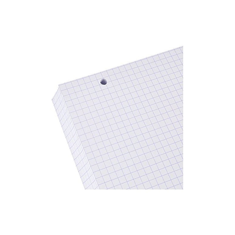 Exacompta - Ref 10608E - Bristol Squared & Punched Record