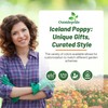 Outsidepride Iceland Poppy Seeds for Planting Outdoors - 5000 Pcs.