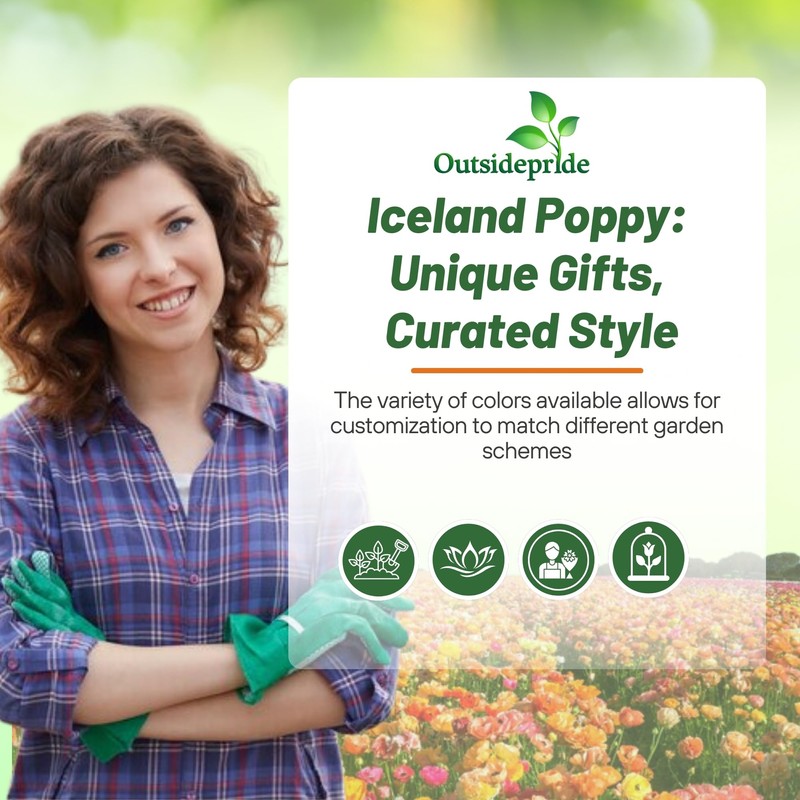 Outsidepride Iceland Poppy Seeds for Planting Outdoors - 5000 Pcs.