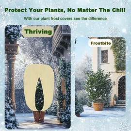 Wellzenith Winter protection for plants, winter protection for pot plants is made of non-woven fabric, with drawstring, zip, tear-resistant and heat resistant (60 x 80 cm x 4 pieces)