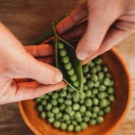 Lincoln aka Homesteader Shelling Pea - 4oz Bulk (~550 Seeds) - Heirloom Variety, Easy-to-Grow & Cold-Tolerant, Non-GMO Pea Seeds for Planting Outdoors in a Home Garden, Thresh Seed Company