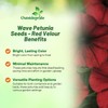 Outsidepride Red Velour Tidal Wave Petunia Seeds - 15 Pcs