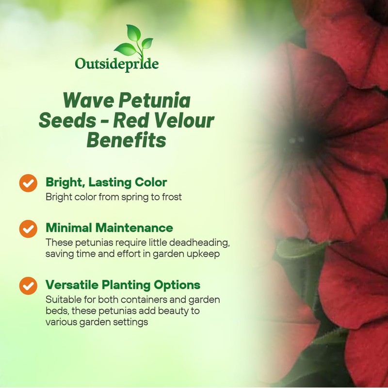 Outsidepride Red Velour Tidal Wave Petunia Seeds - 15 Pcs