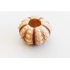 1 Sputnik Sea Urchin Shells 1-1.75" Beach Crafts Ocean Arts