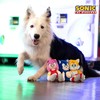 Multipet Sonic Tails Plush Dog Toy, 9-inch
