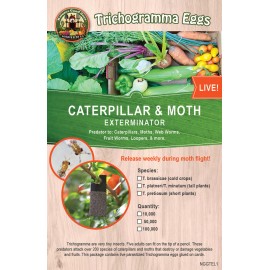 Natures Good Guys Bug Sales Caterpillar & Moth Exterminator - Trichogramma 3 Squares/ 10,000 Eggs