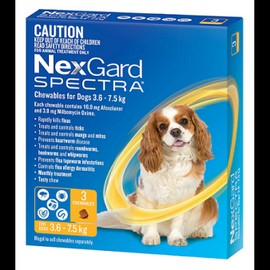 Nexgard Buy NexGard Spectra Chewables For Small Dogs Yellow 3.6 to 7.5kg Online