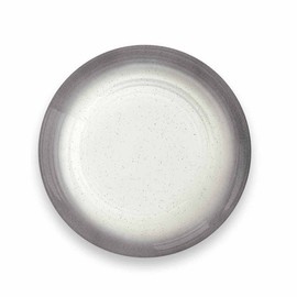 Tarhong TBA1083SOSG Ombre Rim Salad Plate, 8.3 inches (21 cm), Gray, Dish, Crack-resistant, Melamine Tableware, Plastic, Dishwasher Safe, One-Plate, Stylish, Cute, Lightweight, Outdoor, Camping