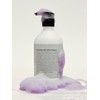 Chahong (Maintain cool tone) Color Enhance Anti-Yellow Complementary Color Shampoo 300 ml / (쿨톤 유지) 컬러 인핸스 안티 옐로우 보색샴푸 300 ml
