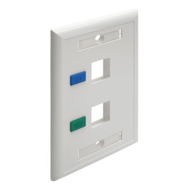 Tripp Lite Dual Outlet RJ45 Universal Keystone Face Plate / Wall Plate White, 2-Port(N042-001-WH)