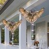 Bird Scarer, 5 Pieces Bird Scarer, False Owl, Reflective Owl