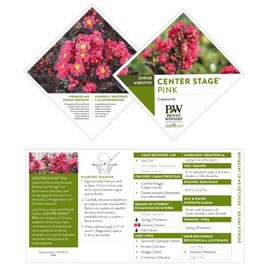2 Gallon Proven Winners Center Stage Pink Crape Myrtle