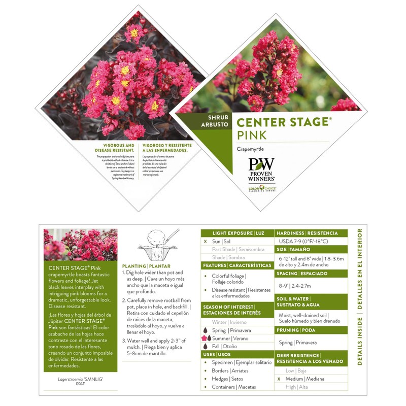 2 Gallon Proven Winners Center Stage Pink Crape Myrtle