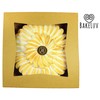 BAKELUV Pie Boxes for 9 Inch Pie | Brown, 25