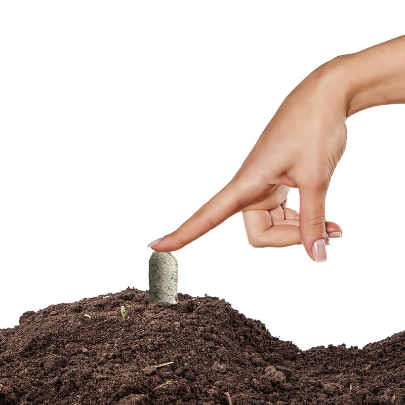 Jobe’s Garden Fertilizer Spikes, Organic Fertilizer for Azaleas, Camellias, Rhododendrons,