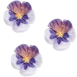 Tissue Paper Flowers Pansies Purple S FSC Mix Diameter 13 cm Pack of 3