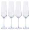 Cheers! Champagne Flute, Set of 4
