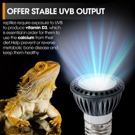 GeeKoit Premium High-Intensity UVB Reptile Light for Optimal Calcium Metabolism,5-Watt 10.0 Desert UVB Light Ideal for Desert-Dwelling Reptiles Bearded Dragons Tortoises