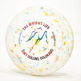Wham-O Fastback Recycled Frisbee - Wright Life Design