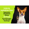 FellBuddies® Paw Balm – Ideal Protection for Sensitive Dogs' Paws