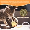 2PCS Set of Sisal Rope Cat Toys, Containing Cat Toys