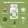 Ultravix Suplemento Alimenticio 100 Natural Cápsulas Romero Orégano Ajo Colageno