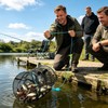 Trampa para Peces y Cangrejos Plegable con Cebo y Hundimiento