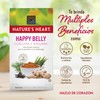 Nature's Heart 7502252484445 Te Happy Belly, Curcuma, jengibre, 30 gramos
