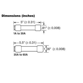 Bussmann Edison ECSR 40 Dual-Element，Time Delay Fuse 600Vac, 40 Amp